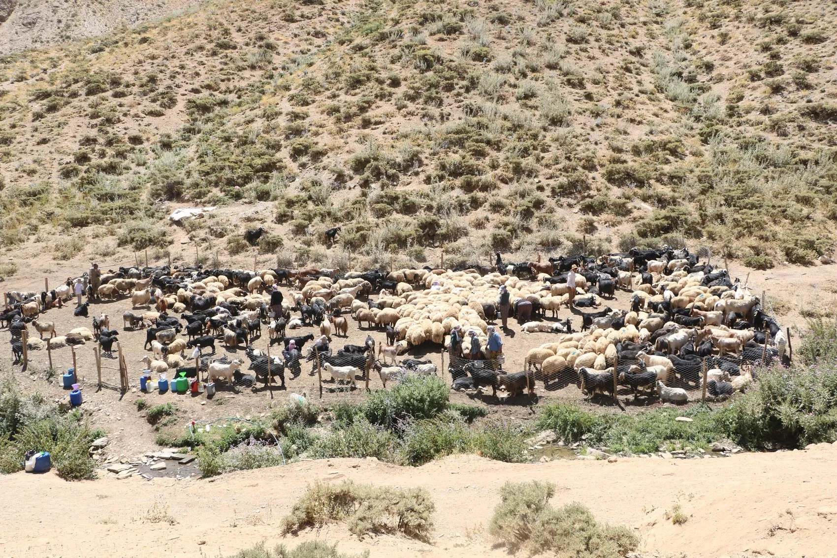 Hakkari yaylalarında mesai bitimi halayla gelen neşe