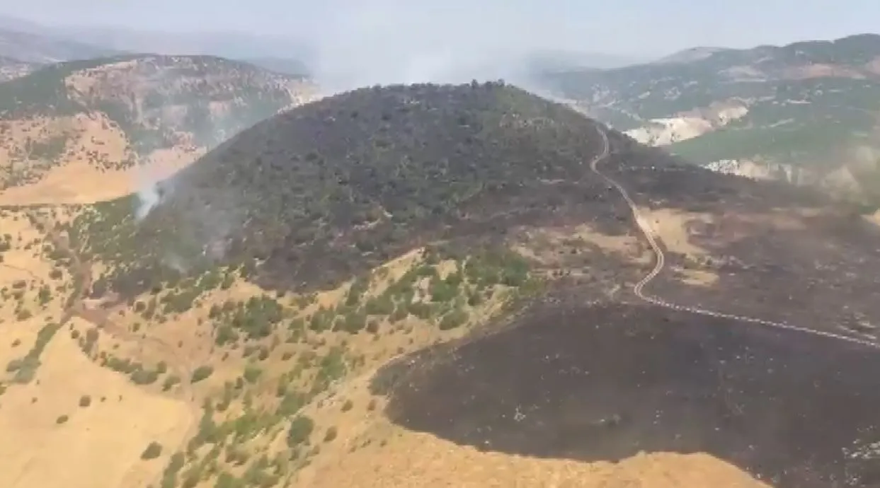 Karakoçan bölgesindeki orman yangını havadan ve karadan müdahaleyle söndürüldü