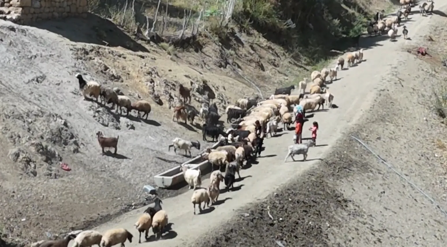 Yüksekova Gedikli mezrasında susuz kalan besiciler çözüm bekliyor