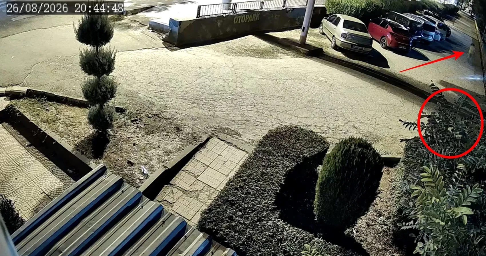 Boşanma aşamasındaki eşini parkta vurup çocuğuyla kaçtı