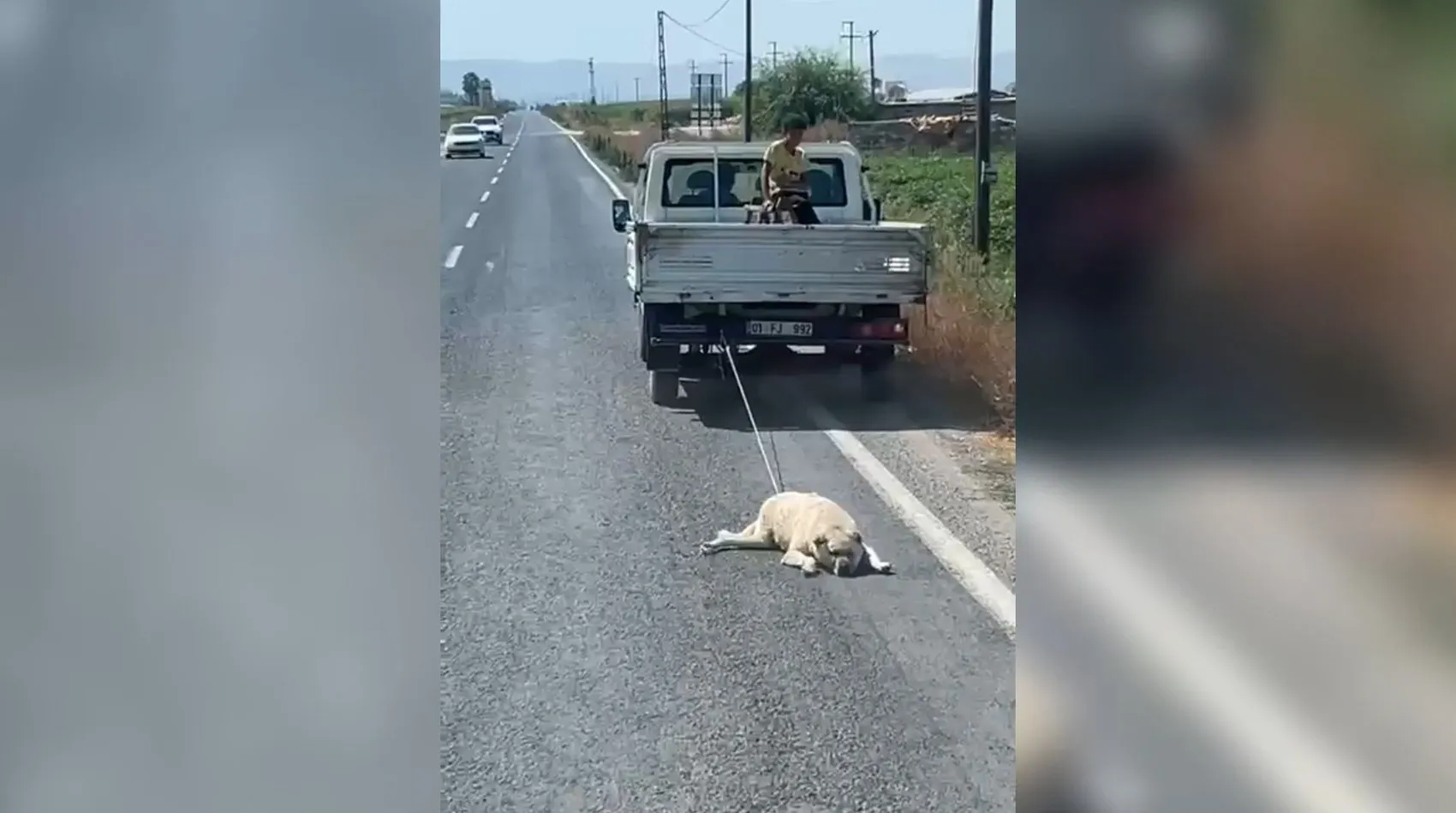 Şanlıurfa'da kamyonet arkasında köpeği sürükleyen sürücüye tepki yağdı