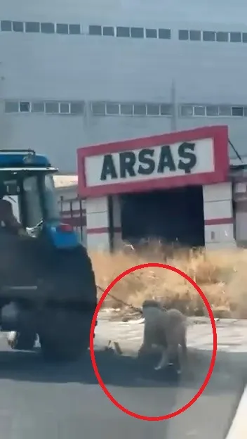 Diyarbakır'da traktöre bağlanan köpeğin zor anları kameraya yansıdı