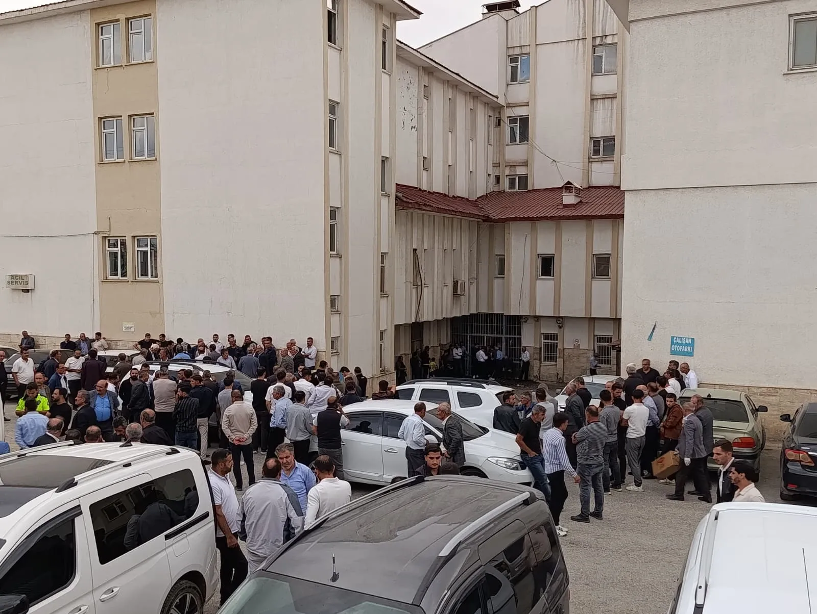 Başkale'de dereye düşen genç çoban hayatını kaybetti