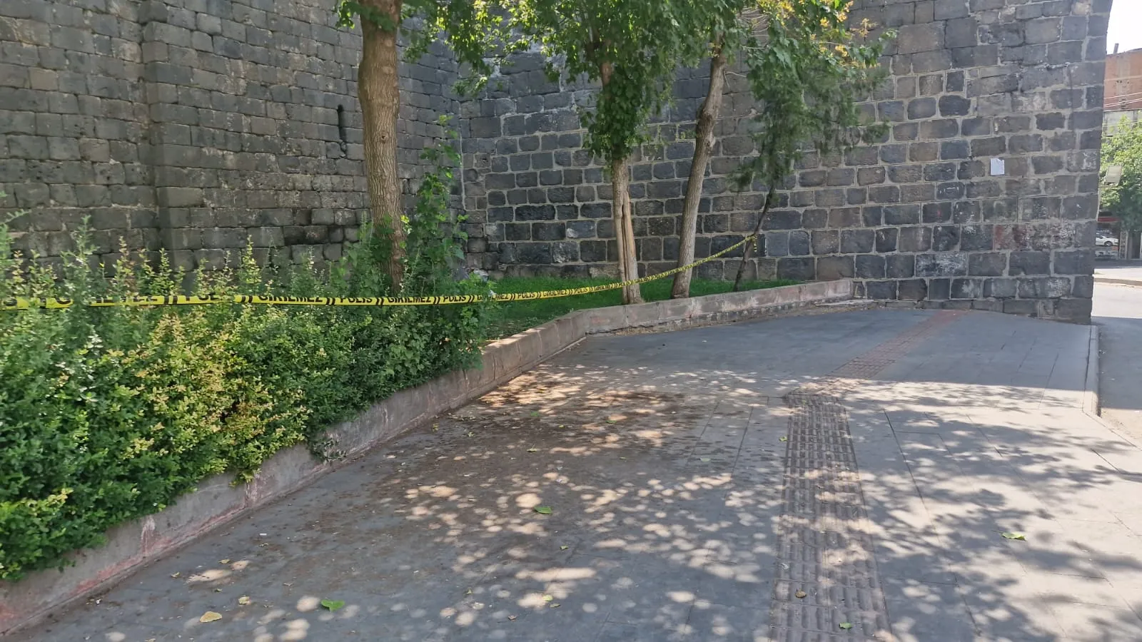 Diyarbakır'da hamile kadını öldüren sanığın davasında eziyet vurgusu