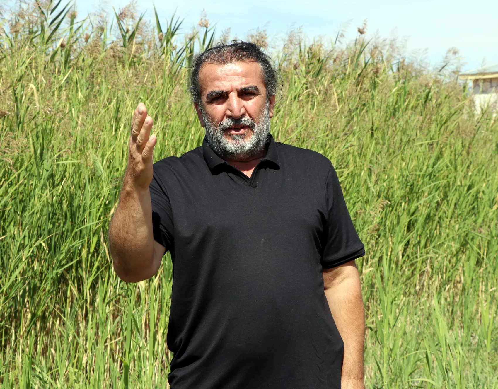 Van Erçek Gölü flamingoların göç öncesi buluşma noktası oldu