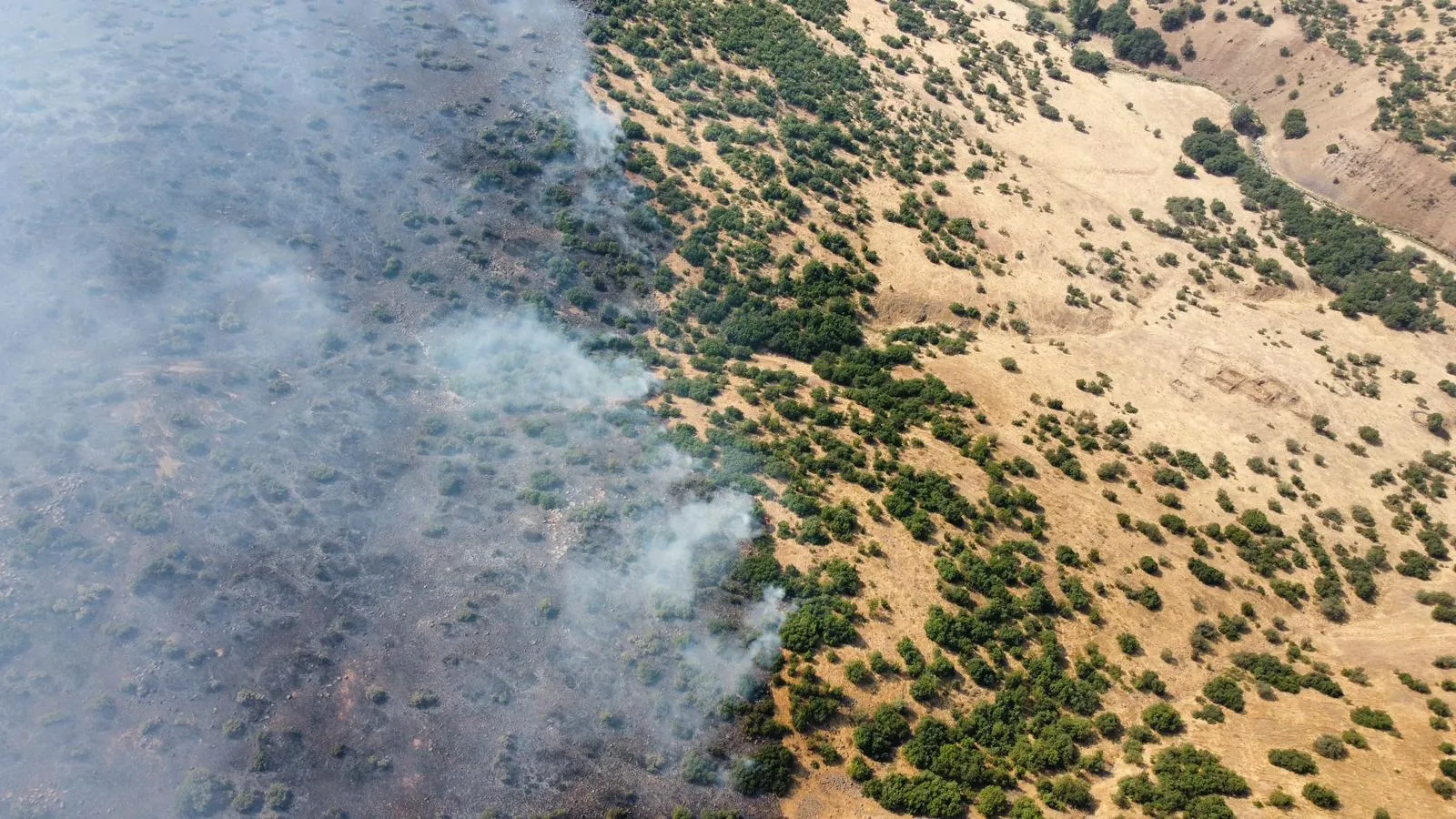 Elazığ Karakoçan'da örtü yangını paniği