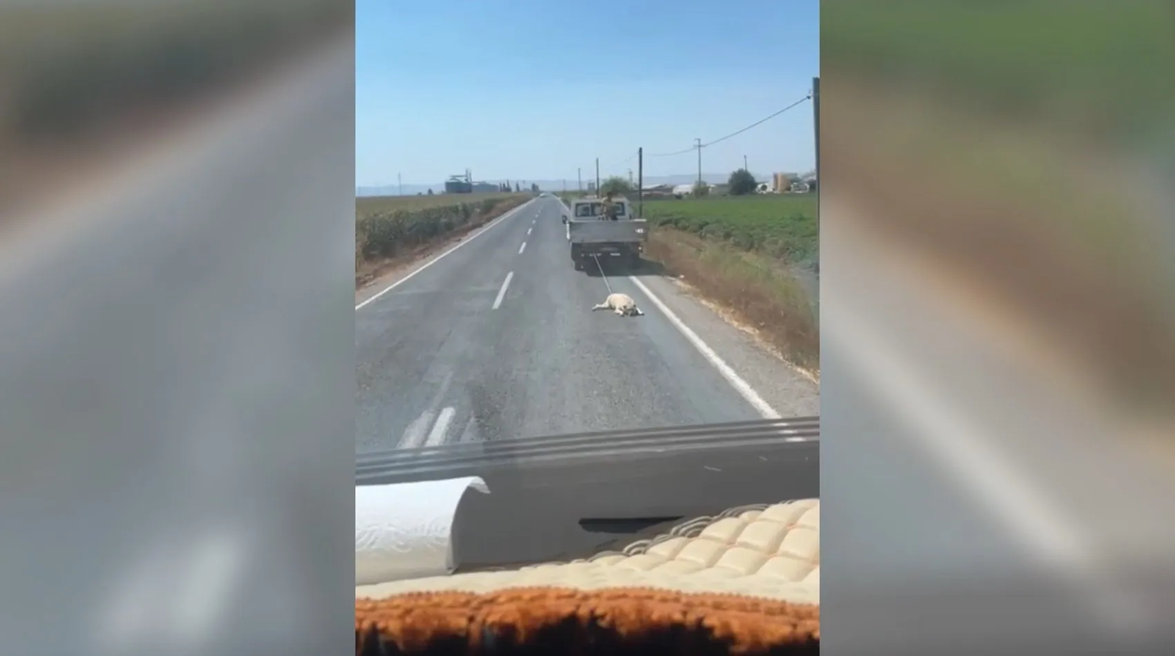 Şanlıurfa'da kamyonet arkasında köpeği sürükleyen sürücüye tepki yağdı