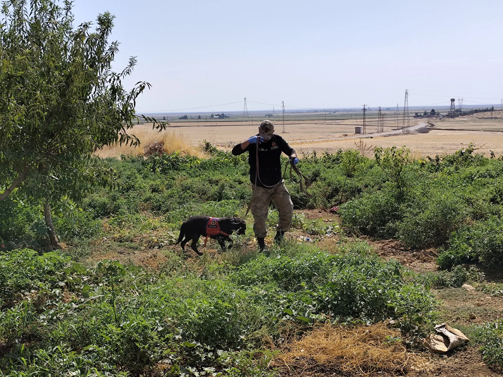 Mardin Derik'te 13 yaşındaki Selahattin'i arama çalışmaları sürüyor