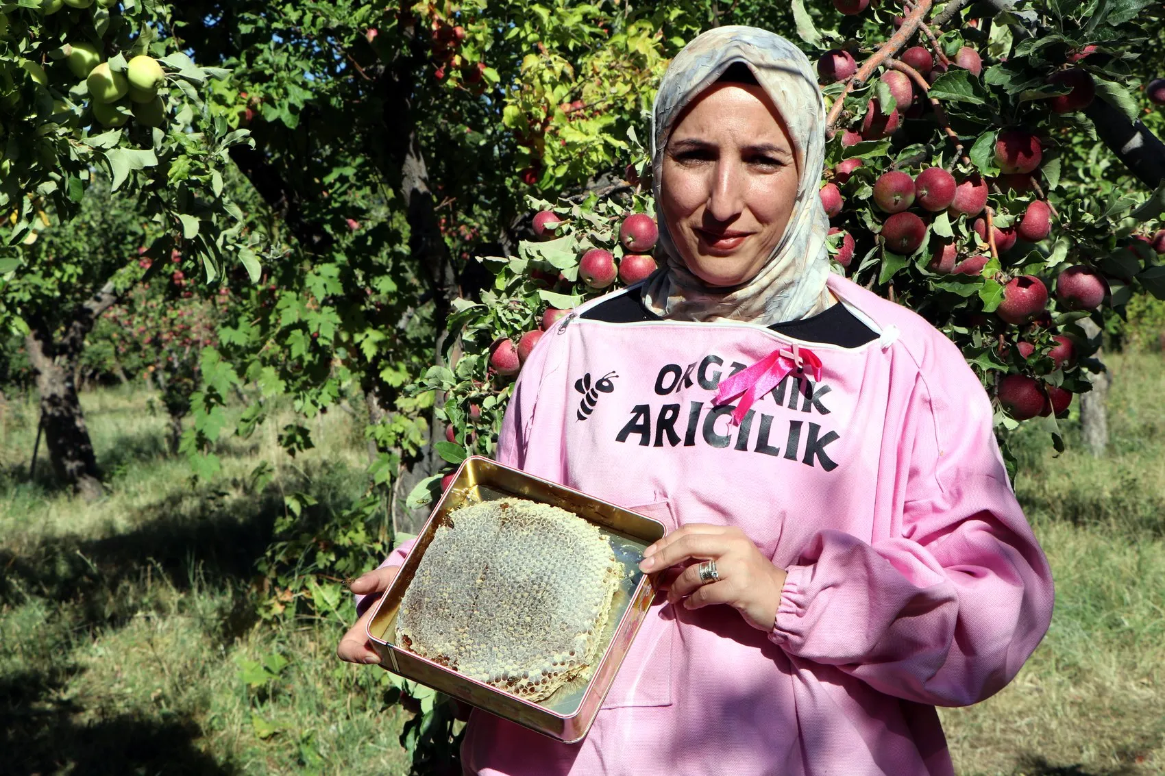 Vanlı kadın arıcılar Artos Dağı eteklerinde kara kovan balı hasadına başladı