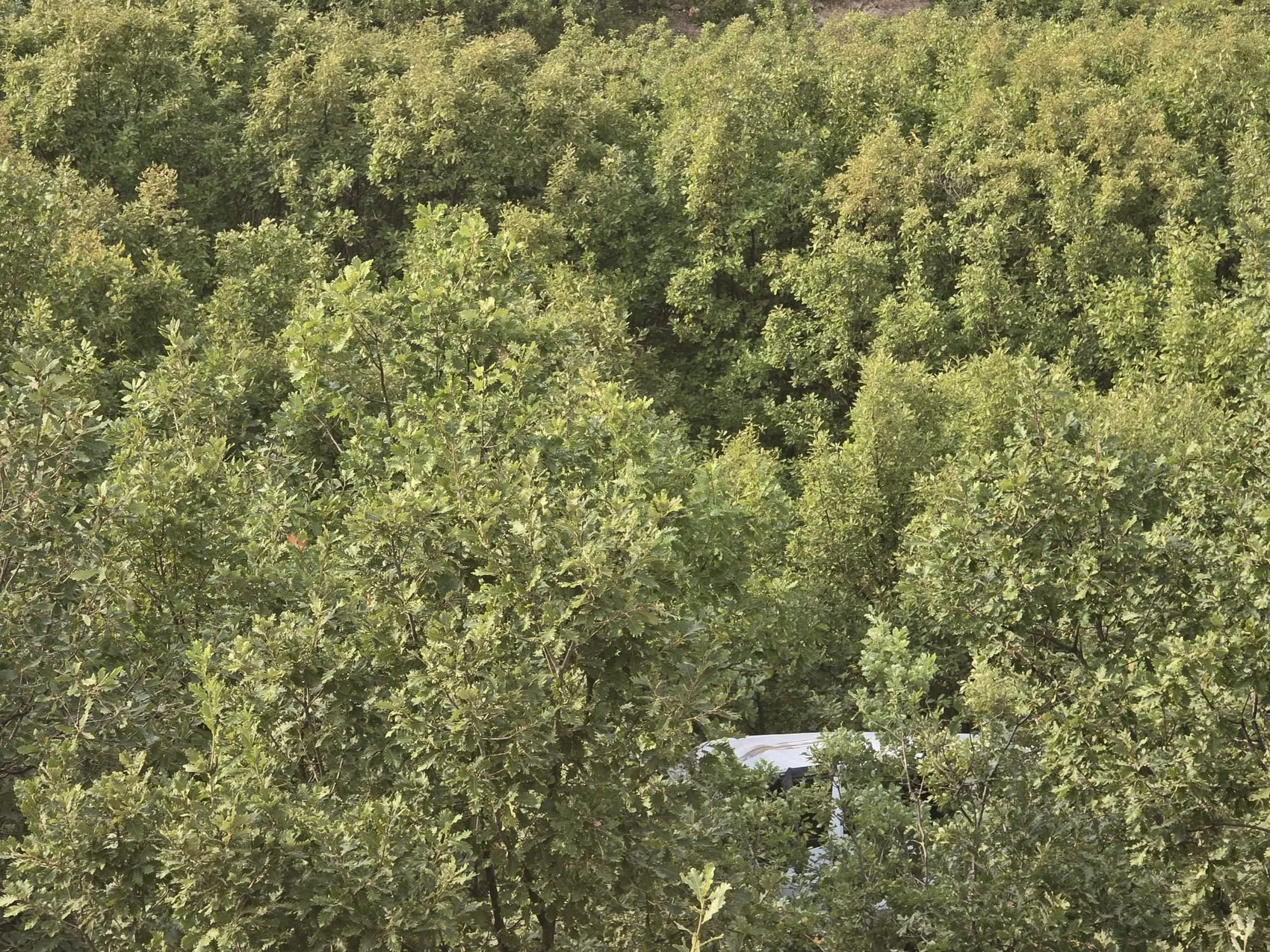 Bingöl Adaklı yolunda minibüs kazası sonucu on kişi yaralandı