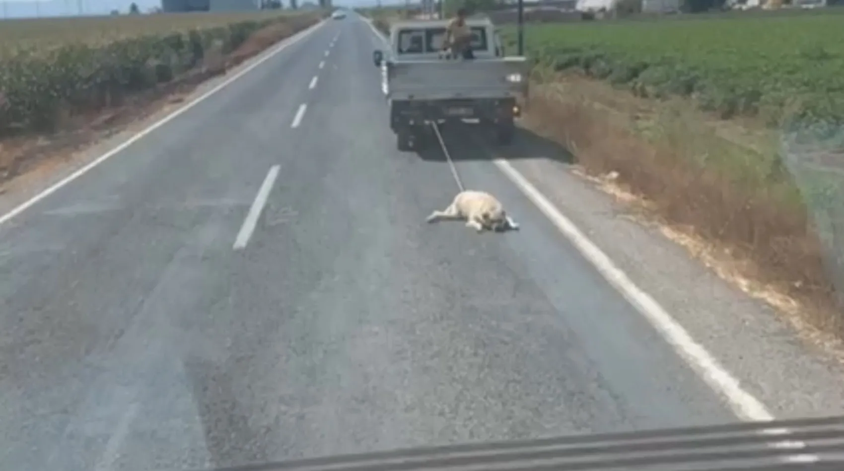 Şanlıurfa'da kamyonet arkasında köpeği sürükleyen sürücüye tepki yağdı
