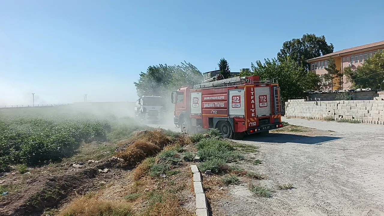 Akçakale sınır hattındaki mayınlı bölgede çıkan yangın paniğe neden oldu
