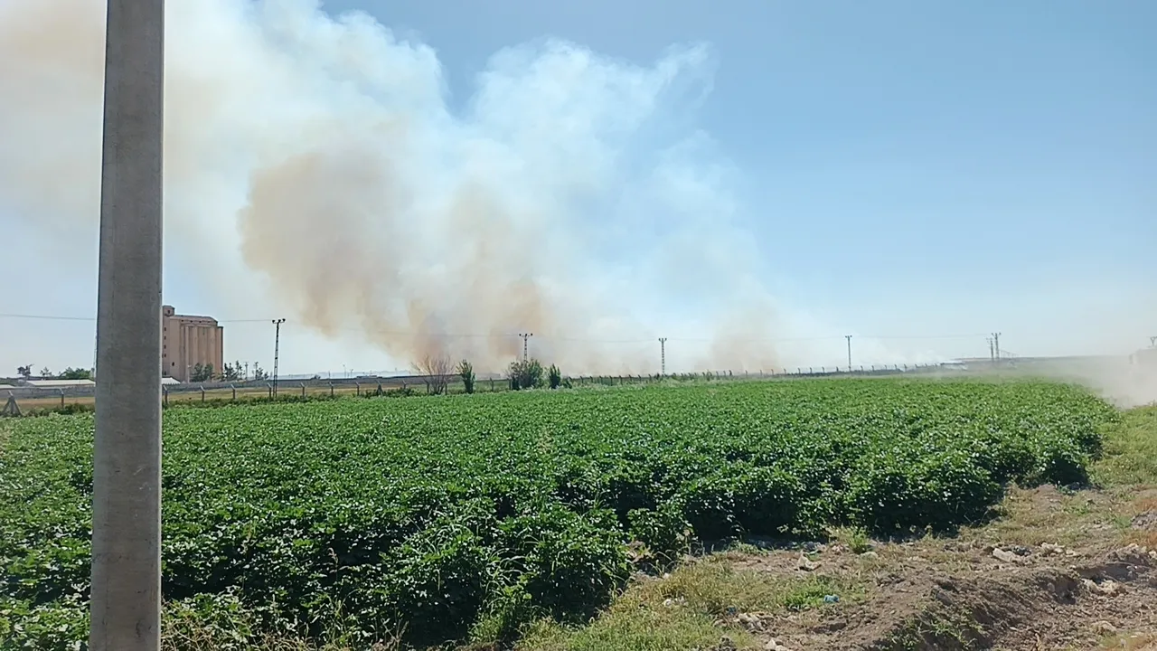 Akçakale sınır hattındaki mayınlı bölgede çıkan yangın paniğe neden oldu