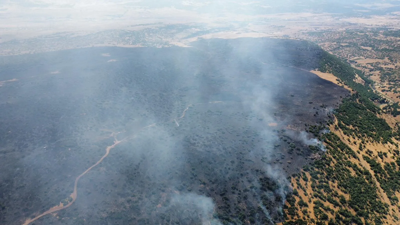 Elazığ Karakoçan'da örtü yangını paniği