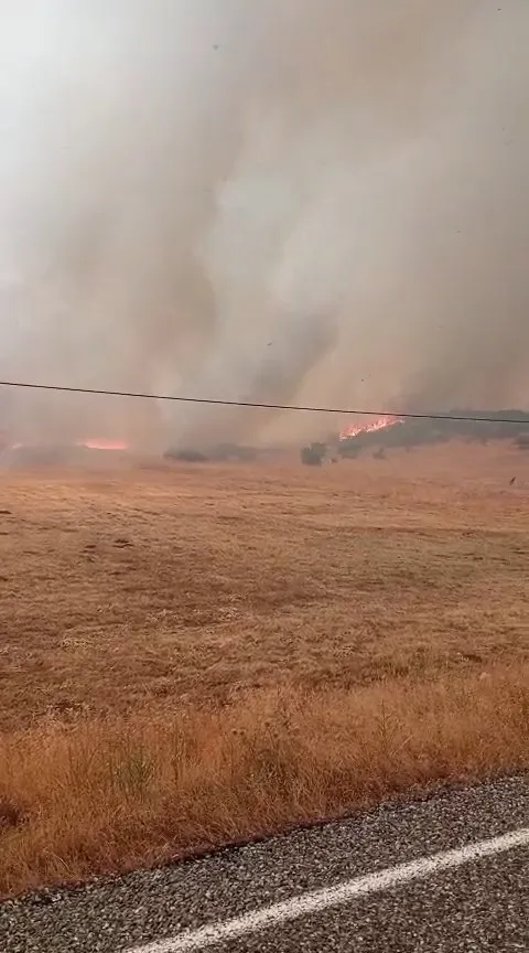 Elazığ Karakoçan'da örtü yangını paniği