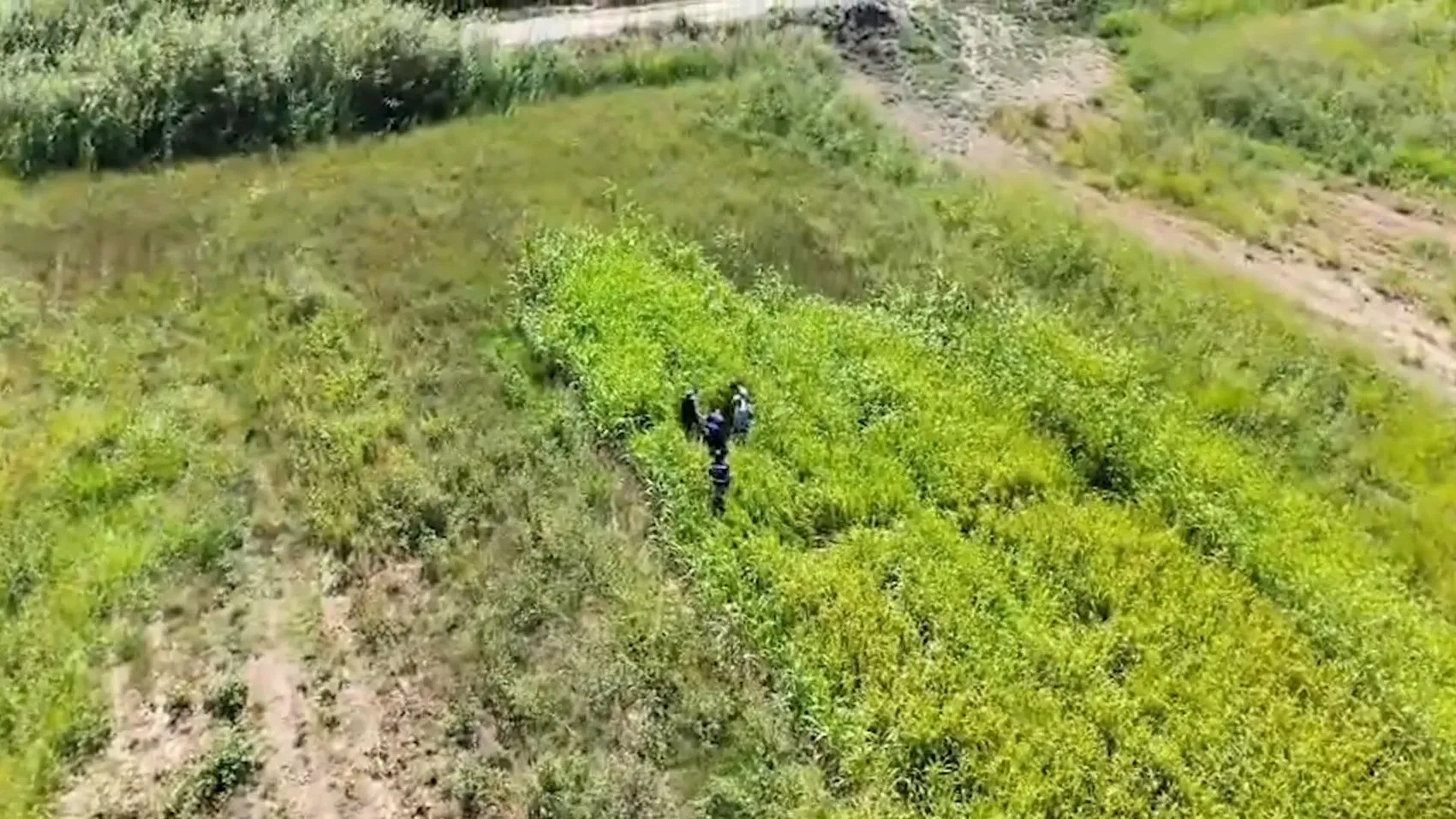 Akçakale'de telefon dolandırıcıları mısır tarlasında dronla yakalandı